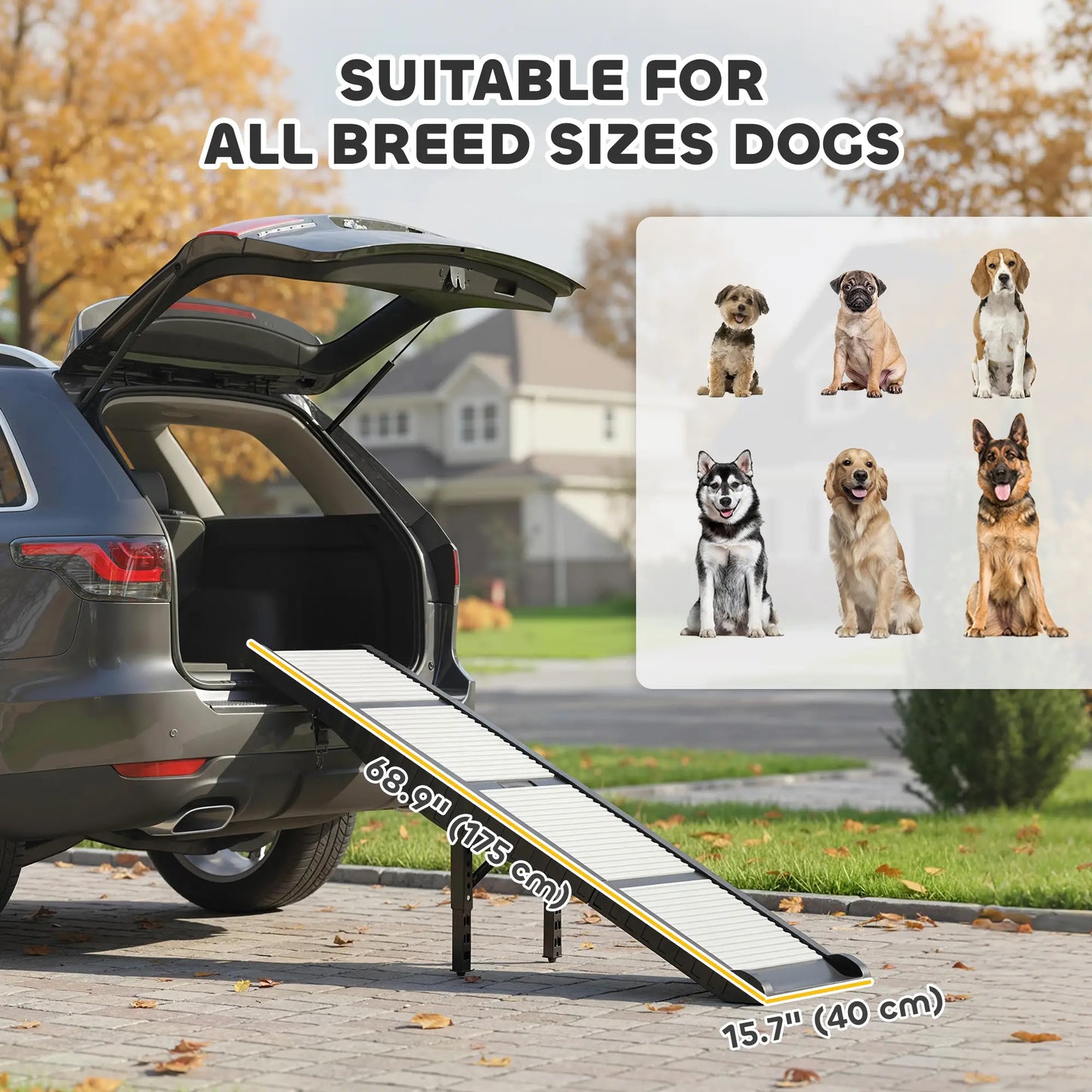 Folding Senior Dog Ramp - Non-Slip & Portable